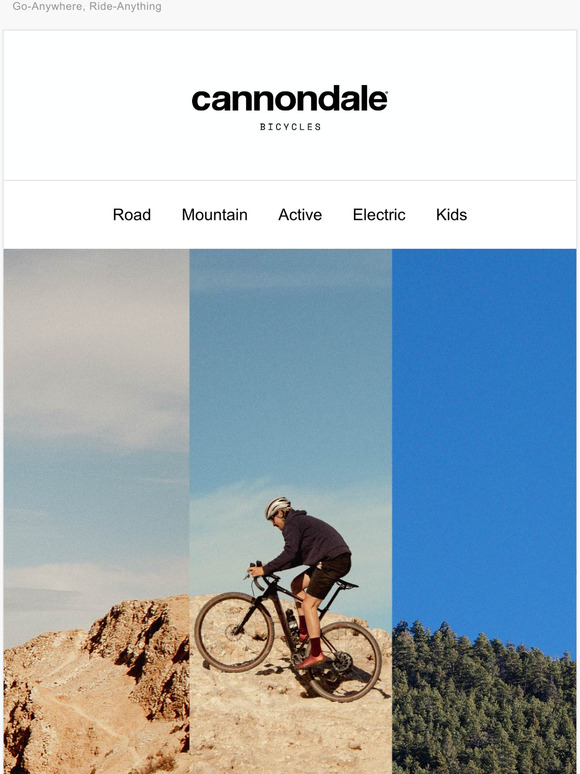 Introducing the New Topstone Carbon
