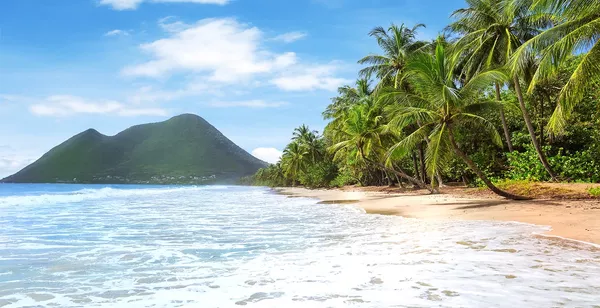 Escale caribéenne en toute simplicité