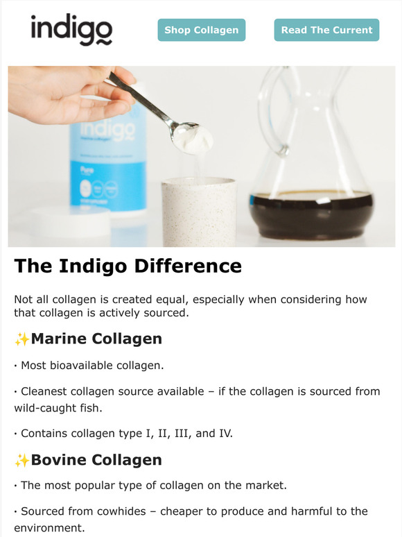 Indigo Marine Collagen Indigo Marine Collagen Whats The Difference Milled 0489