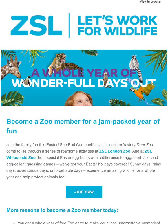  Your entry ticket to a whole year of wild entertainment!