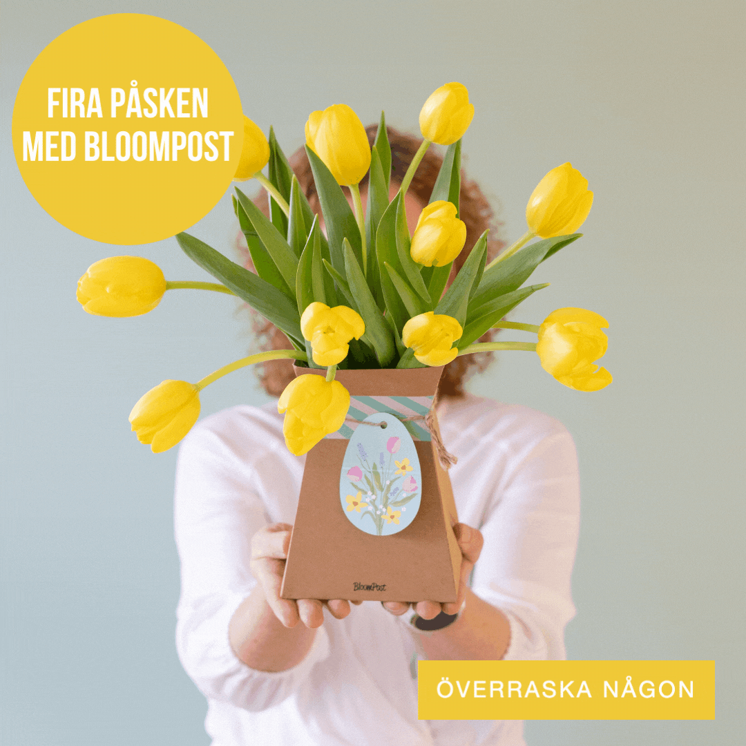 Bloompost (SE): Skicka lite pskknsla genom brevldan | Milled