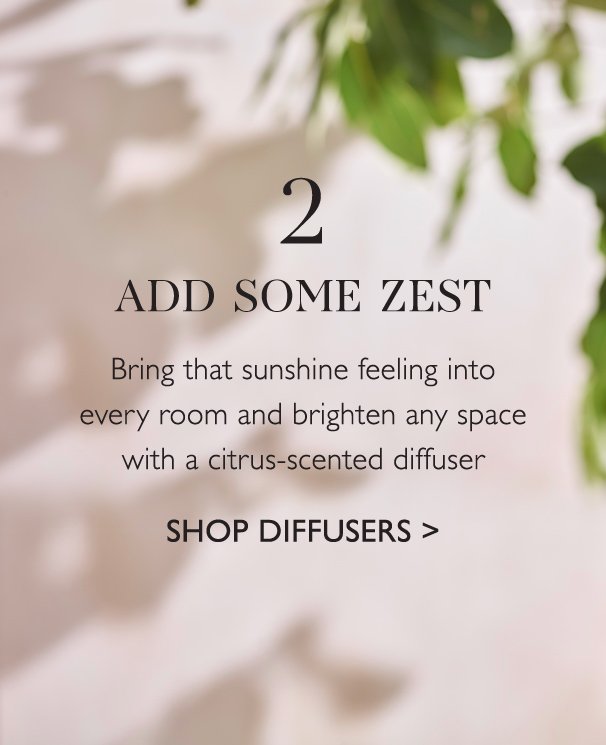 2 Add Some Zest Shop Diffusers