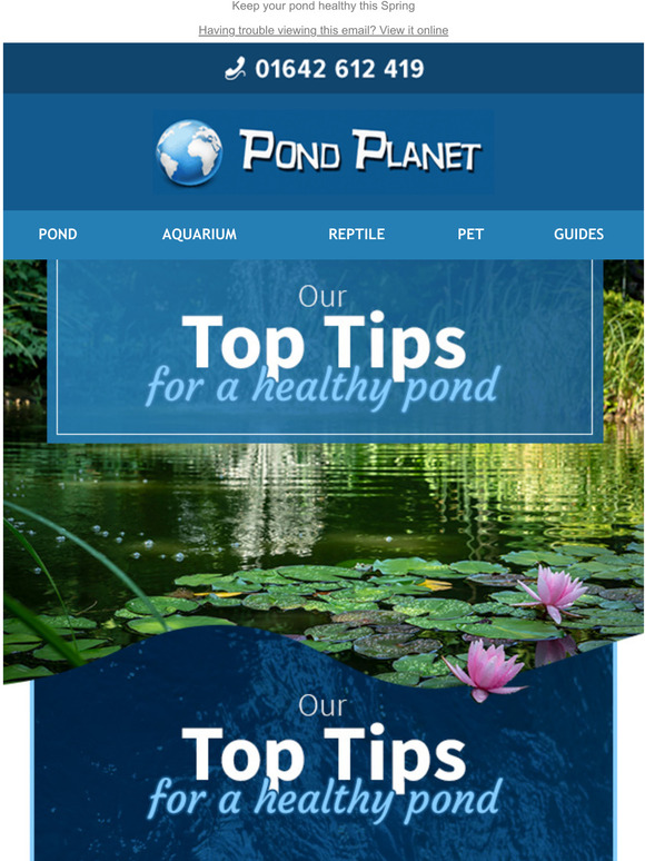 Top tips to keep your pond healthy Milled