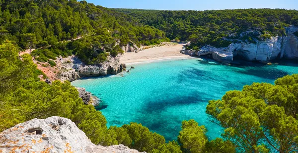 Tranquillité insulaire et paysages idylliques
