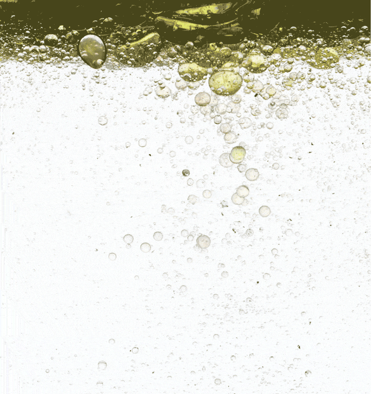 Sustainable Ingredients 101
