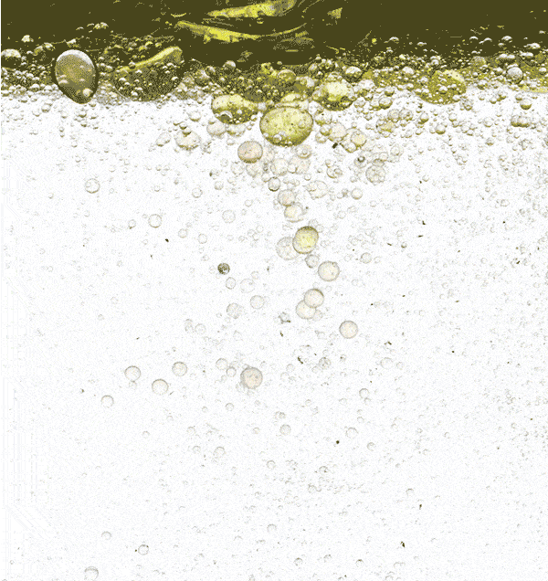 Sustainable Ingredients 101