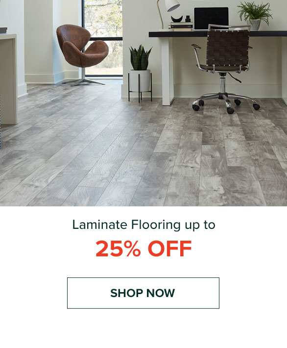 Laminate flooring up to 25% | Shop now