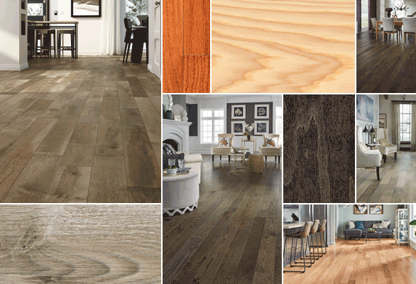 Floor Finder