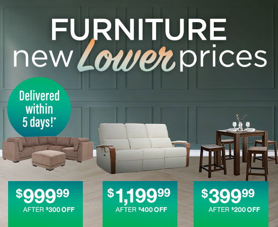 Furniture- new lower prices. Delivered within 5 days!