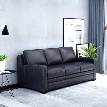 Kalana Leather Sleeper Sofa