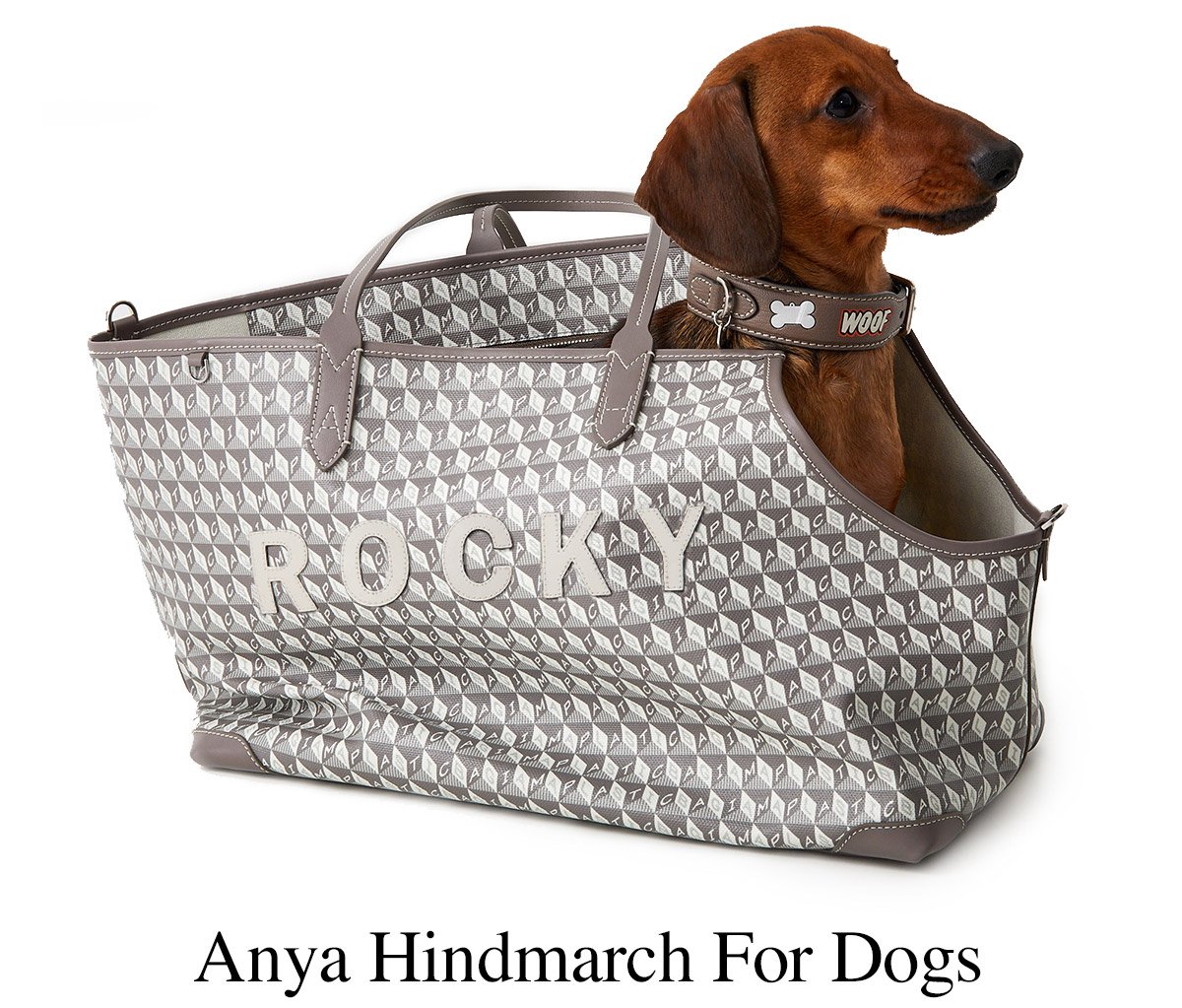 Anya Hindmarch Dog Poo Bag Charm