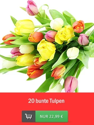 20x bunte Tulpen!