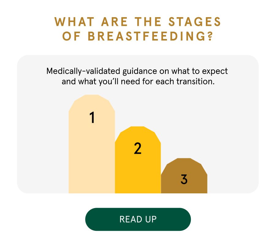 What are the stages of breastfeeding?