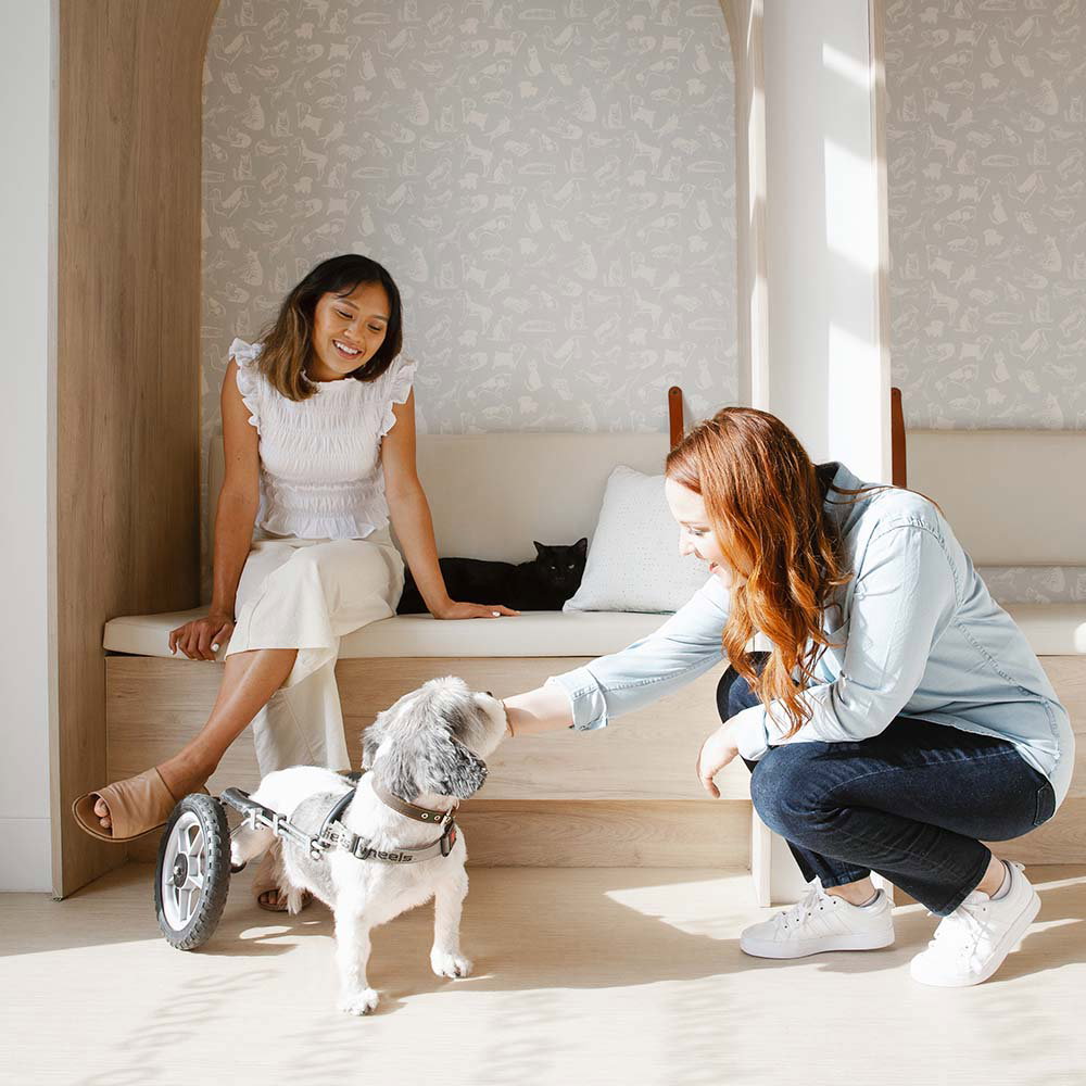 Woman and dog in Small Door waiting room, speaking to a Small Door team member