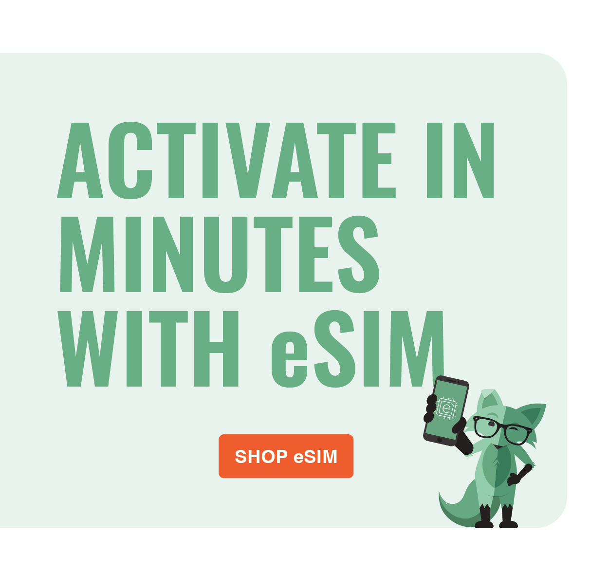 Mint Mobile Heres the eSIM eMAIL you didnt know you needed Milled