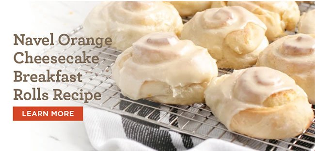 Navel Orange Cheesecake Breakfast Rolls Recipe