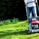 The Secrets to Mowing Zoysia Grass