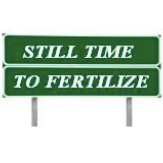 Fertilizing Before the Heat of Summer