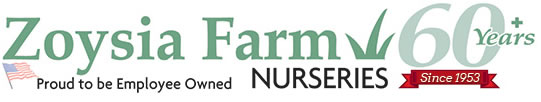 Zoysia Farm Nurseries
