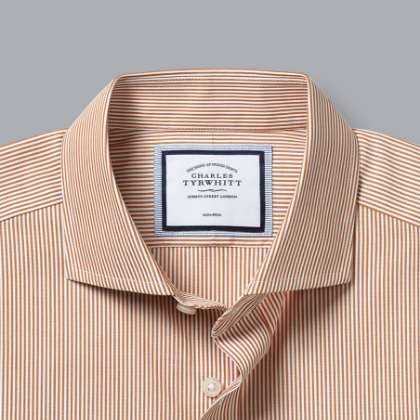 Cutaway Collar Non-Iron Bengal Stripe Shirt - Rust