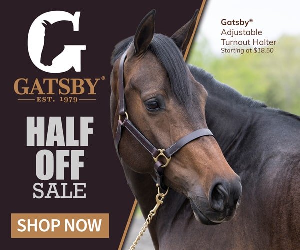 Gatsby® Halters and Leads