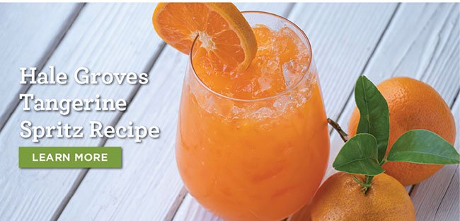 Hale Groves Tangerine Spritz Recipe