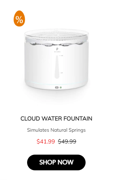 Cloud Water Fountain