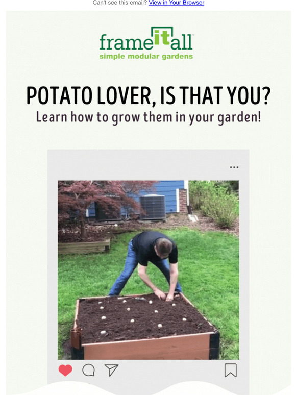 Good news for sprouted potatoes in your kitchen!