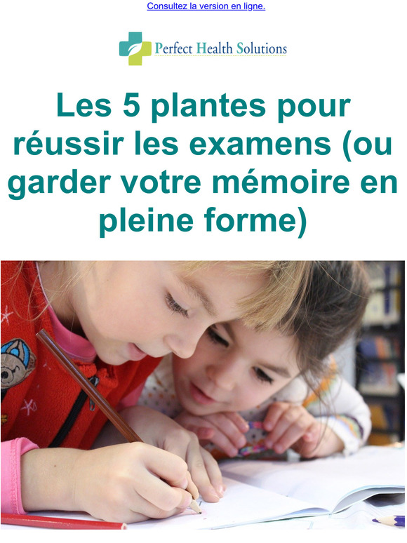 Les 5 plantes pour russir les examens (ou garder votre mmoire en pleine forme)