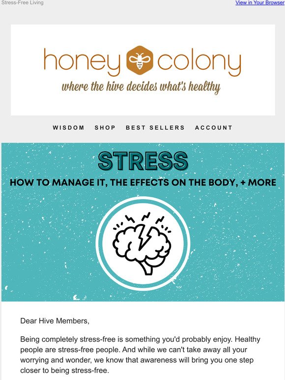  Reducing stress one hive at a time 