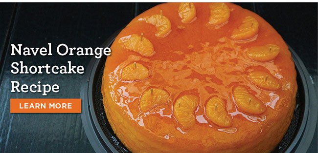 Navel Orange Shortcake Recipe