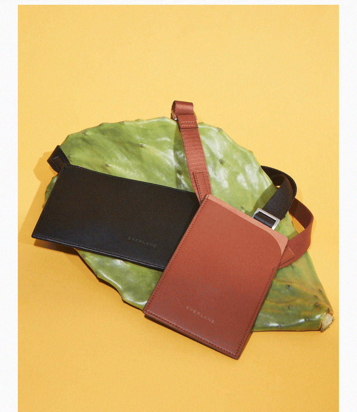 [SHOP THE COLLECTION]