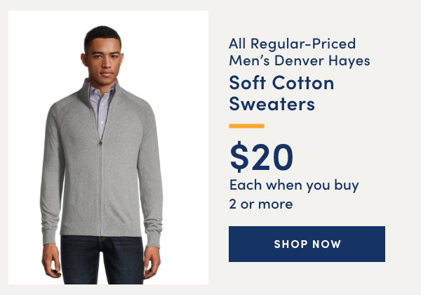 All Regular-Priced Men's Denver Hayes Soft Cotton Sweaters $20 each when you buy 2 or more