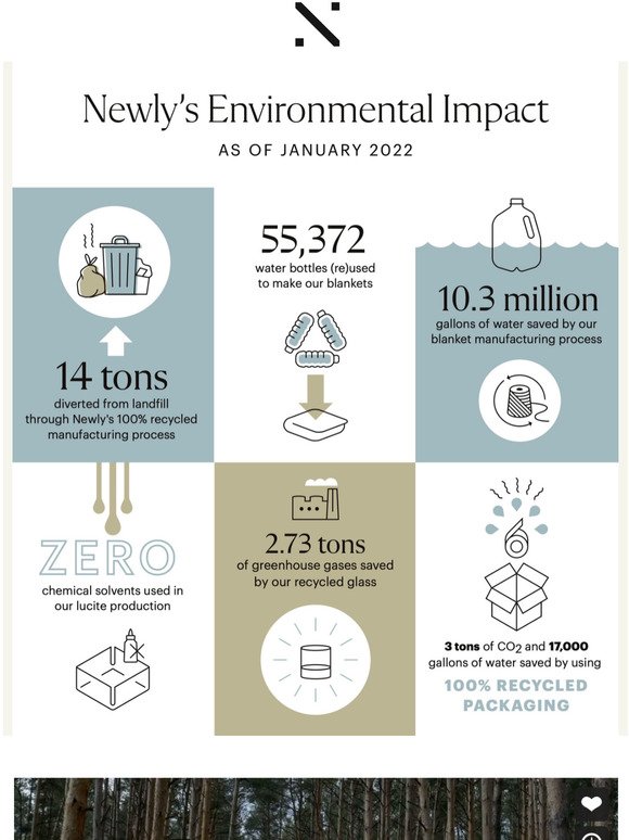 Our environmental impact
