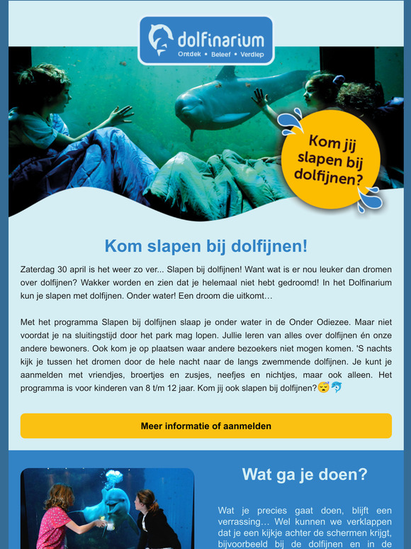 Kom jij slapen bij dolfijnen?
