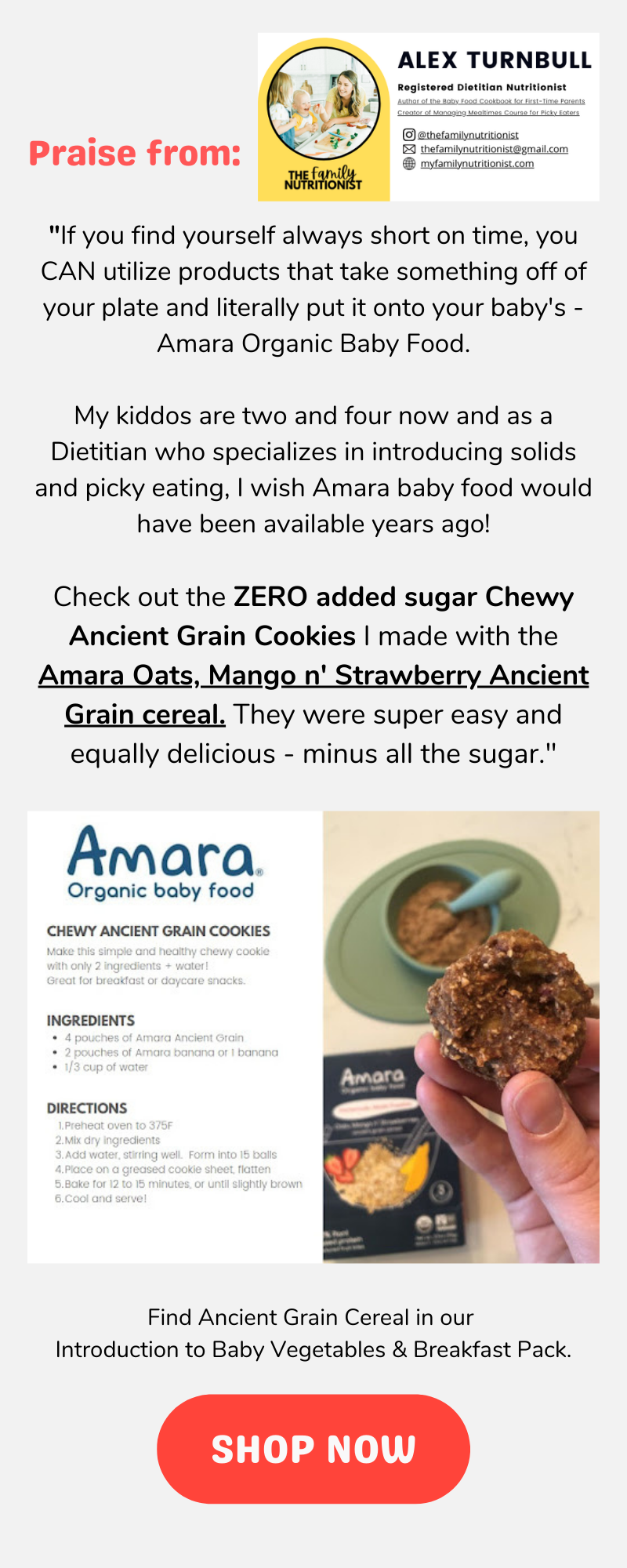 How to Pack the Perfect Toddler Lunch - Amara Organic Foods