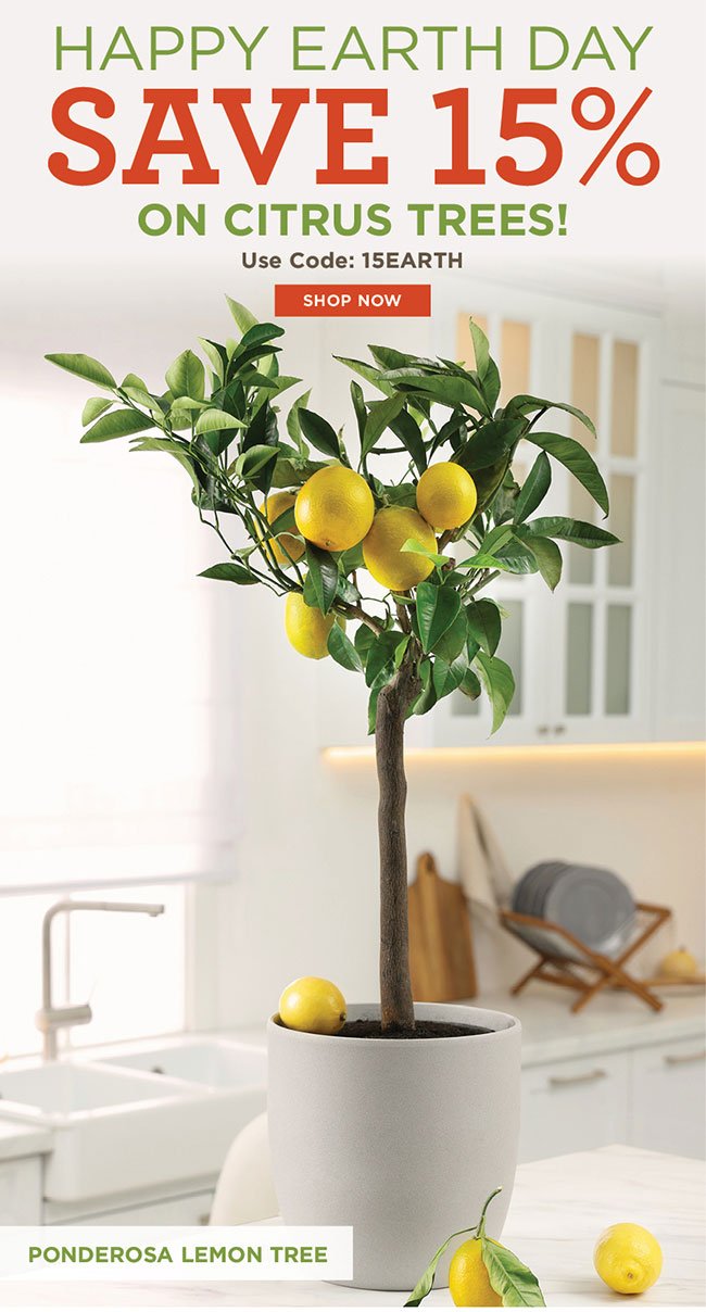 Earth Day Sale Ponderosa Lemon Tree