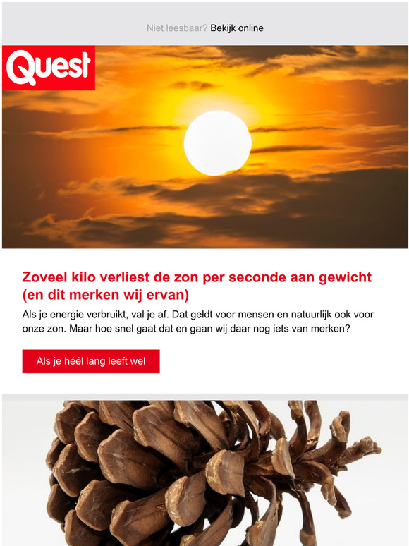 Quest Waarom word je zo wit als je moe bent? Milled