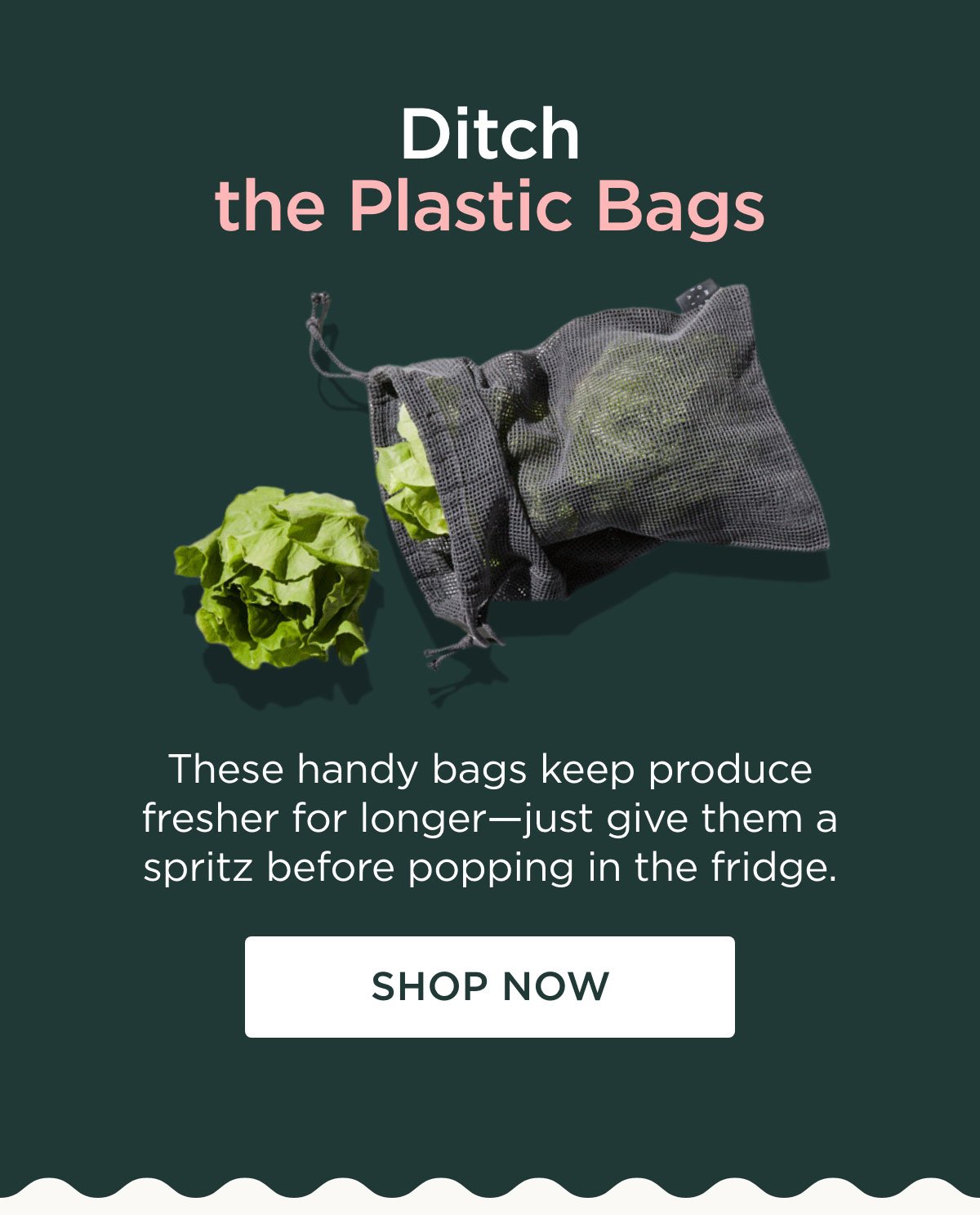 Ditch the Plastic Bags