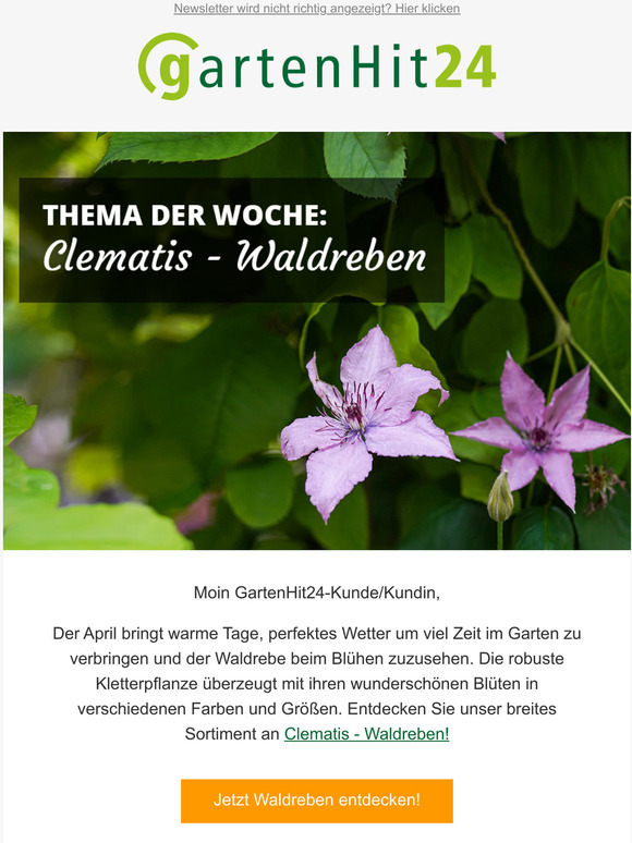 Bunte Bltenvielfalt fr Ihren Garten 