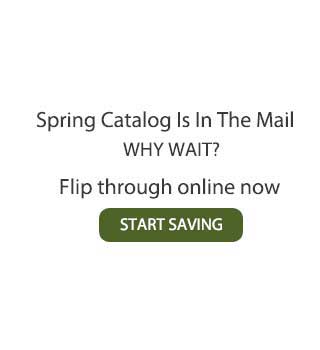 Don't Wait to Shop, Flip Through the Online Catalog