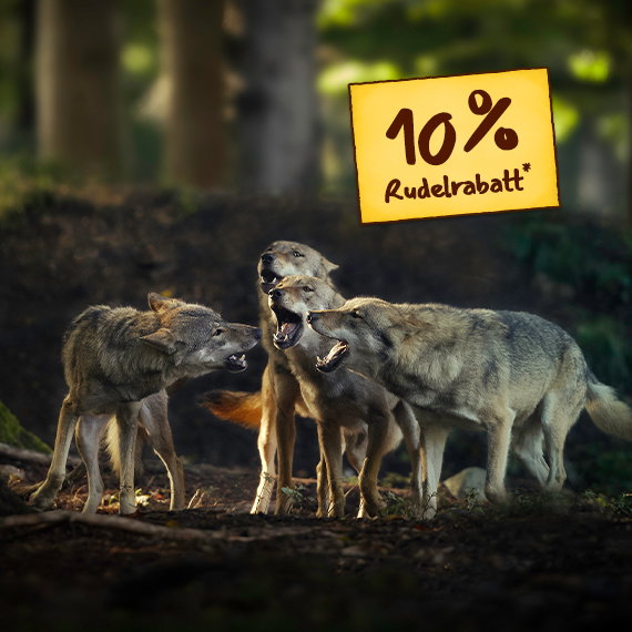 Rudelrabatt