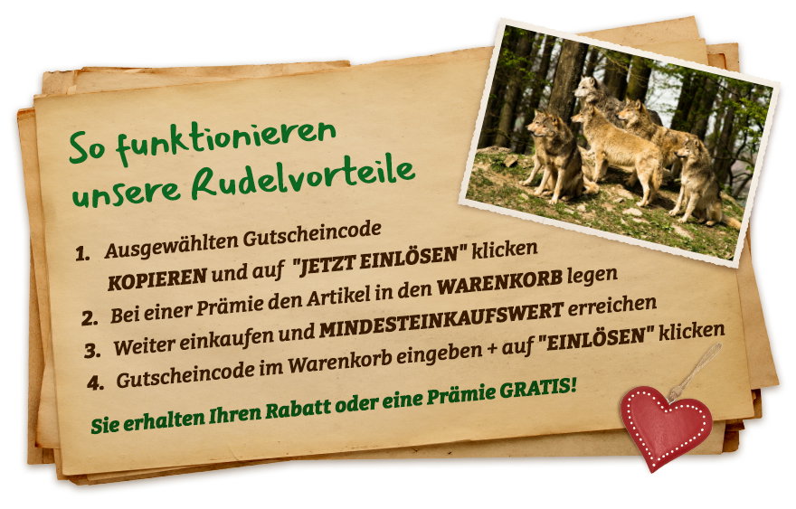 So geht's