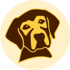 Servicehund Chatbot