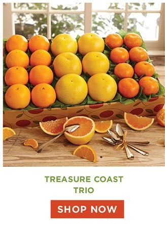 Treasure Coast Trio