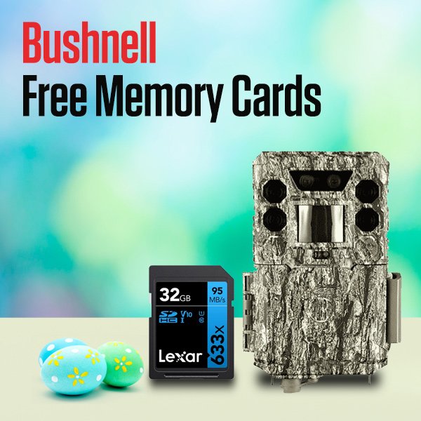Bushnell Free Memory Cards