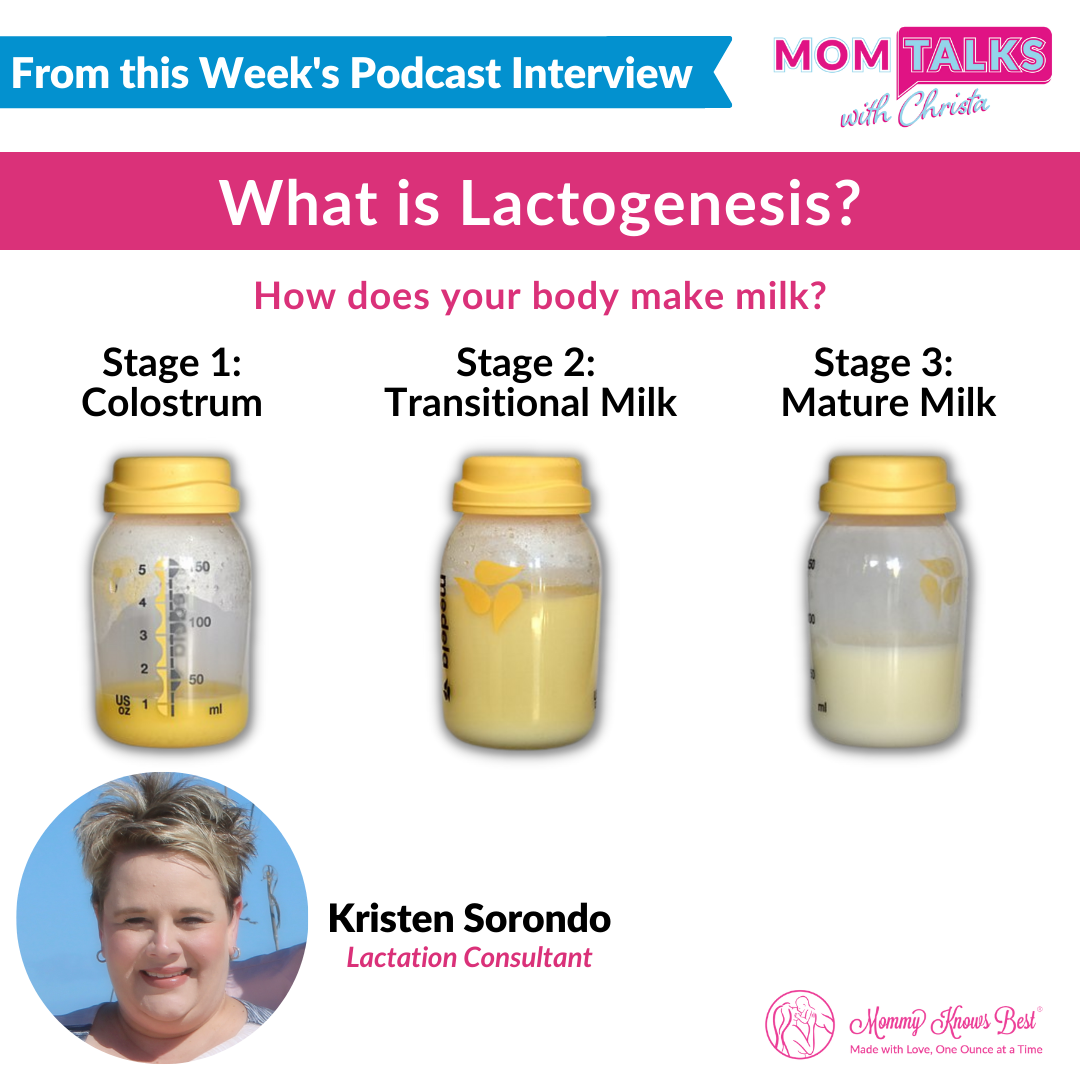 Lactogenesis: The Process of Making Milk