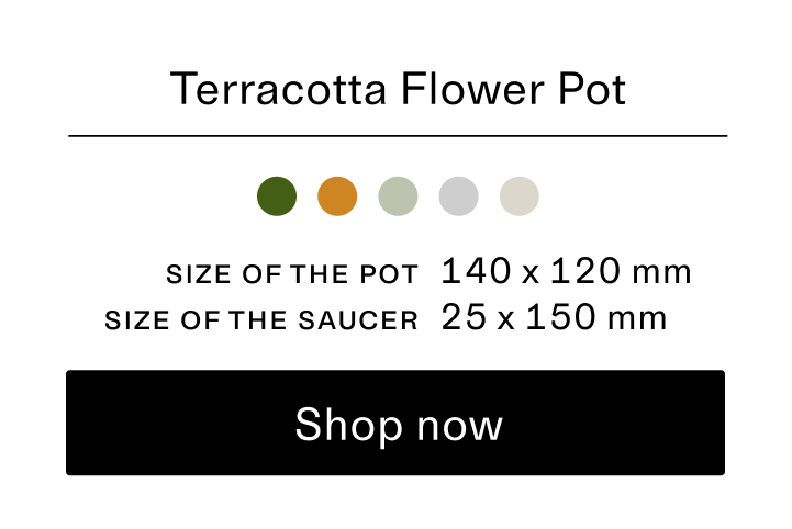Terracotta Flower Pot title and shop now CTA