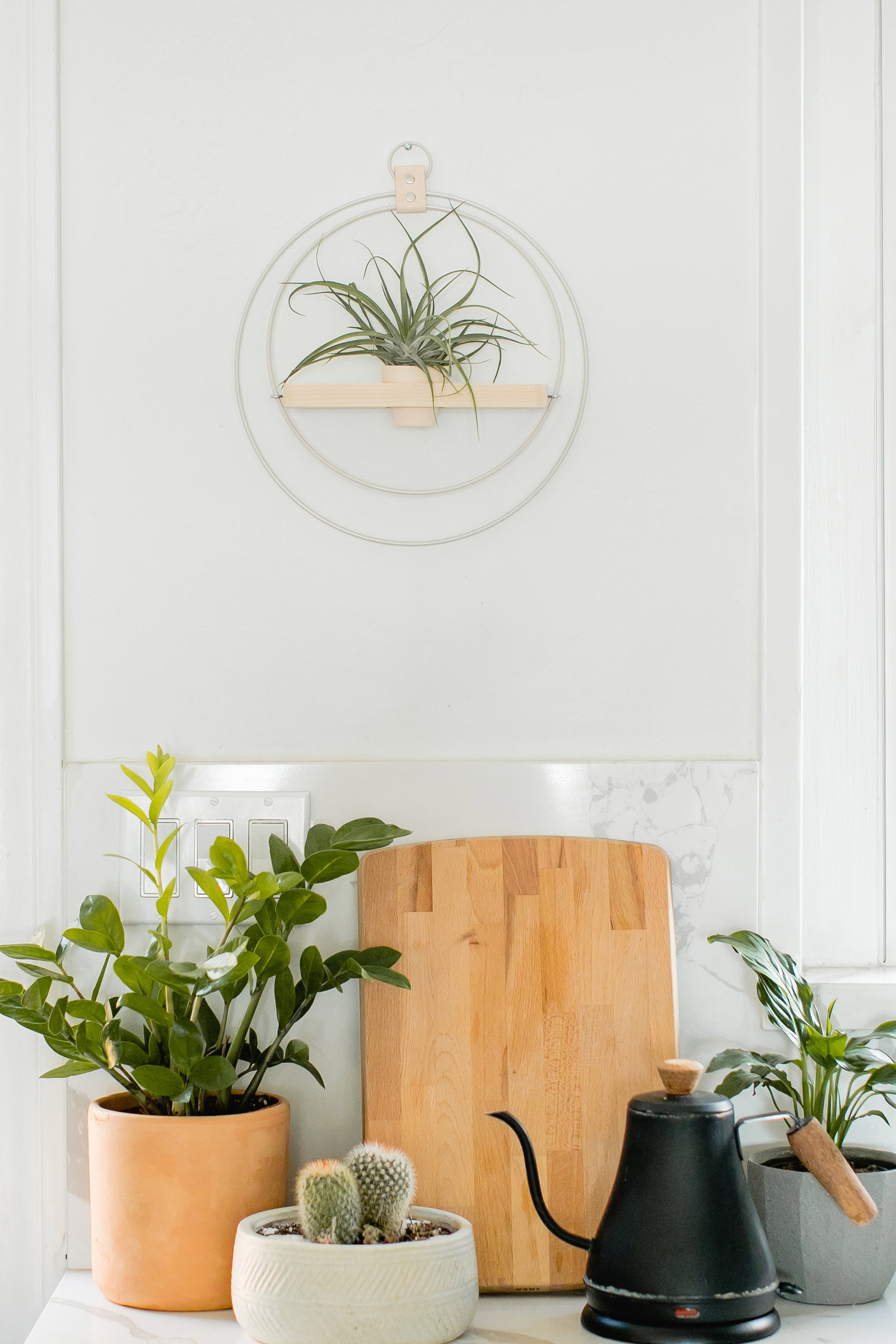 BRAID & WOOD Design Studio Are Hanging Plants Out of Style? Milled