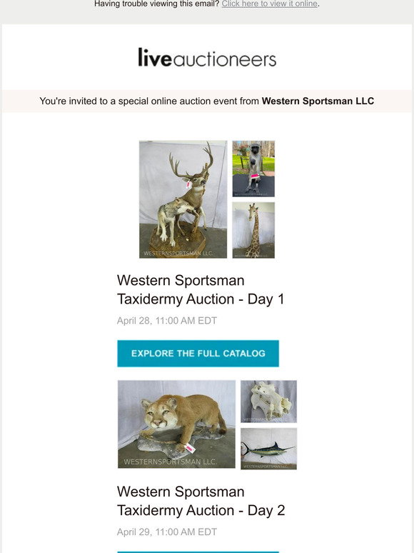LiveAuctioneers Western Sportsman Taxidermy Auction Milled